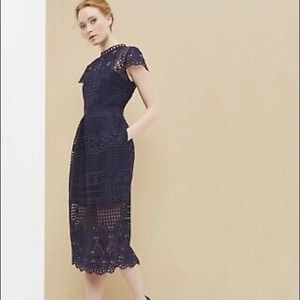 Ted Baker Emilia Geometric Lace Dress